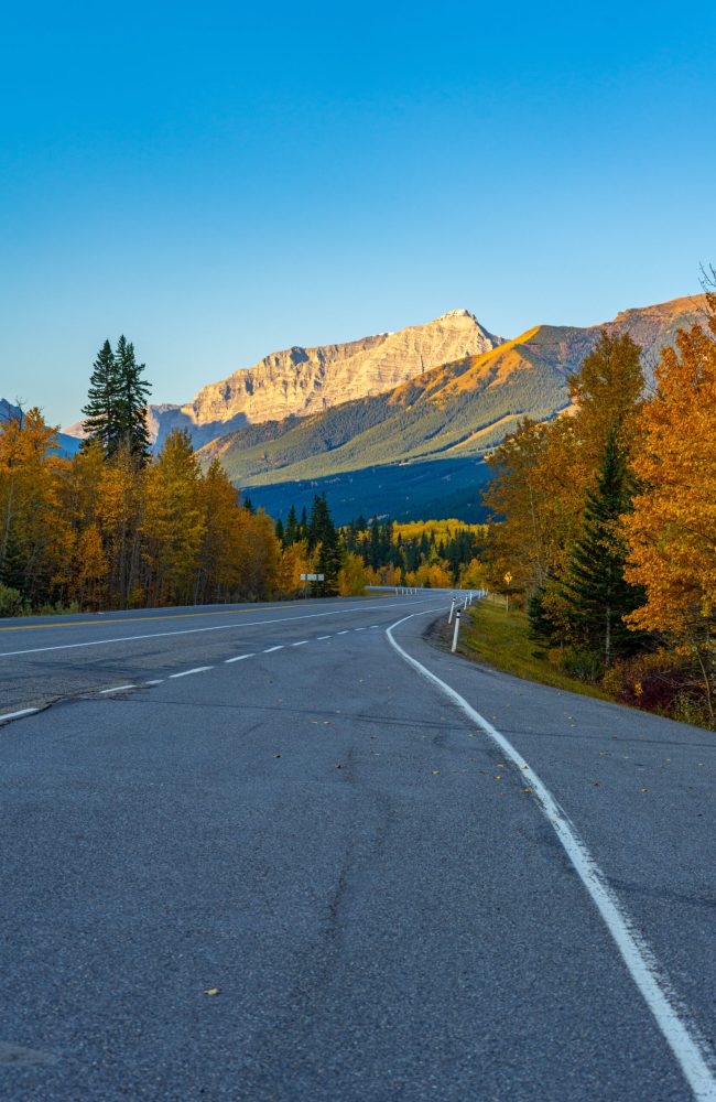 A vertical shot of empty highway road along with autumn trees in Kananaskis, Alberta, Canada