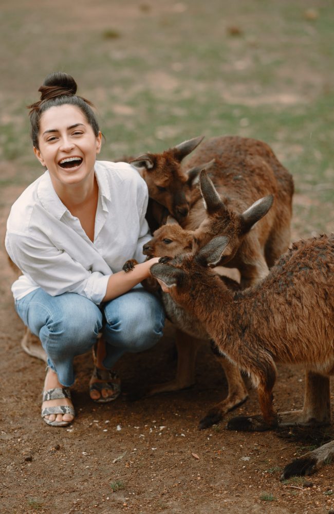 Woman in the reserve. People in Australia. Famale playing with a kangaroo.